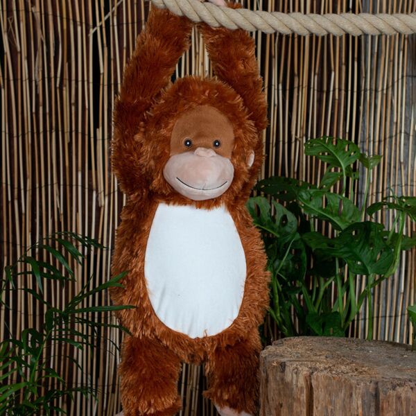 Zippie orangutan Thumbnail