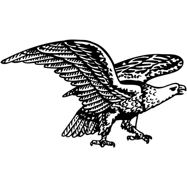 EAGLE028 Thumbnail